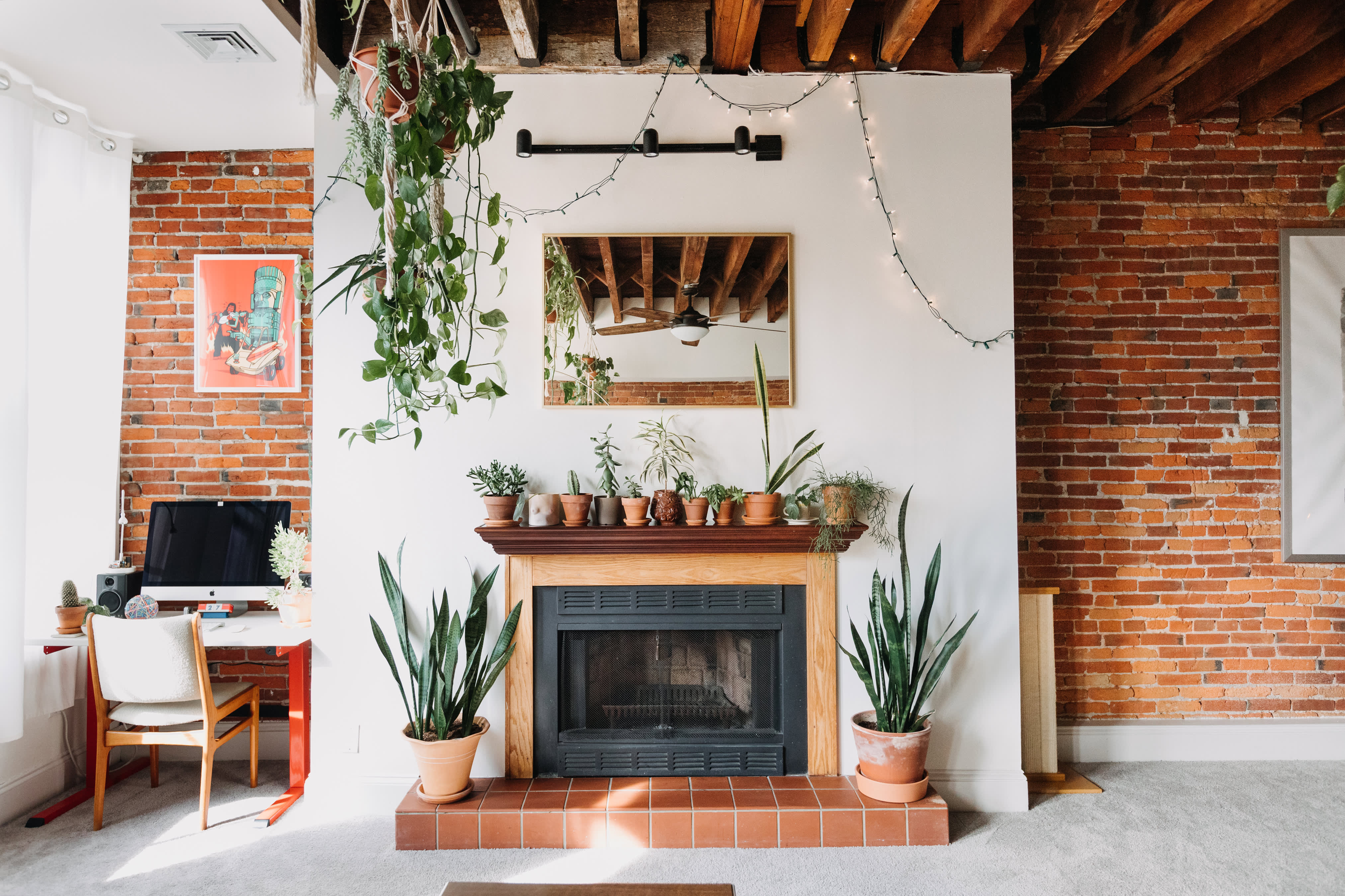 Brick Wall Plant Heavy Philadelphia Apartment Apartment Therapy